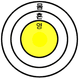 기질적인 성화