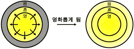 The Process of Regeneration